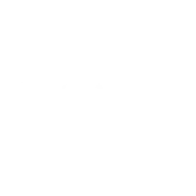 The Telegraph Logo